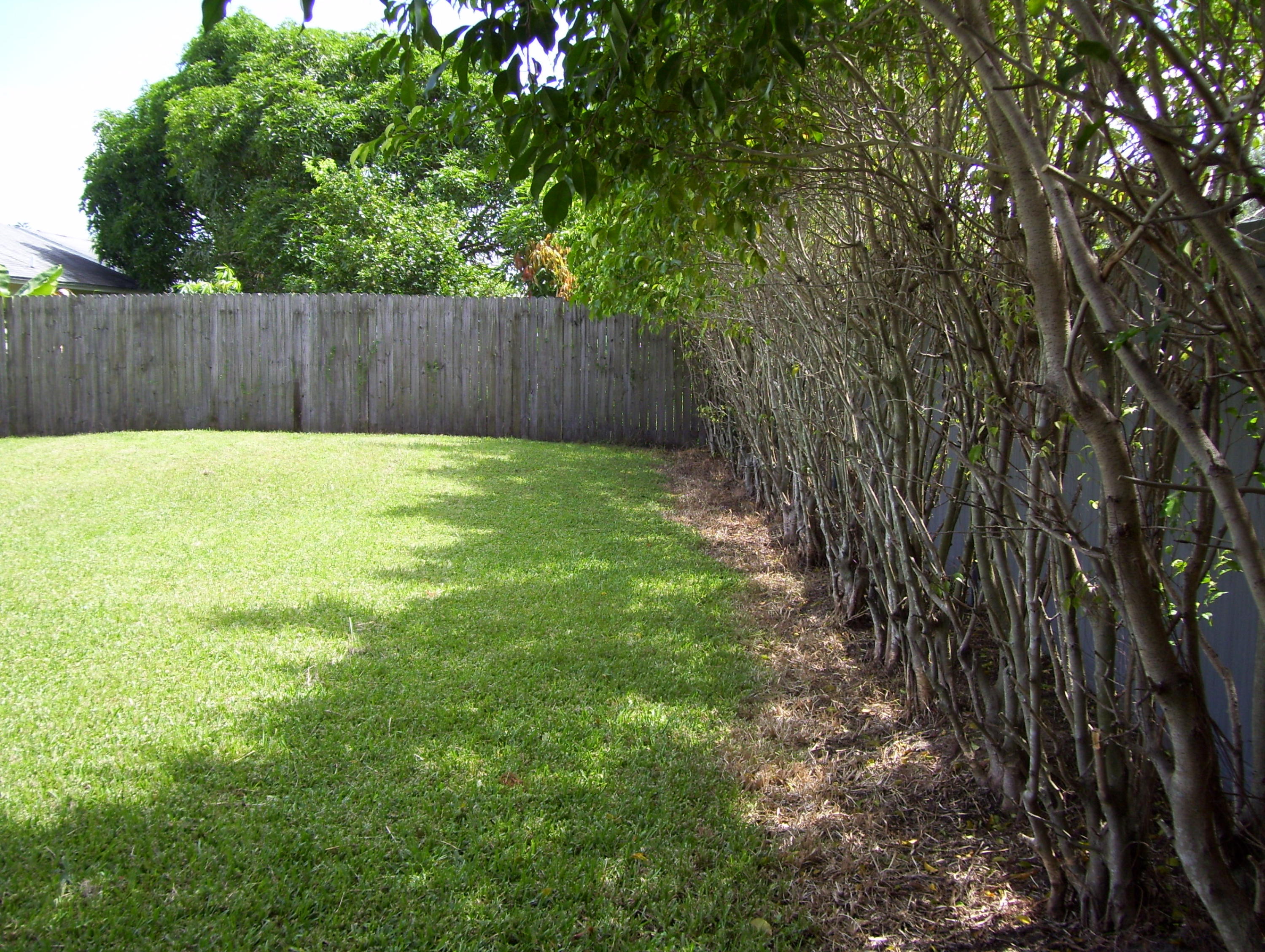 152 Banyan Circle Jupiter, FL 33458 - Photo 18 of 21 Fenced Backyard