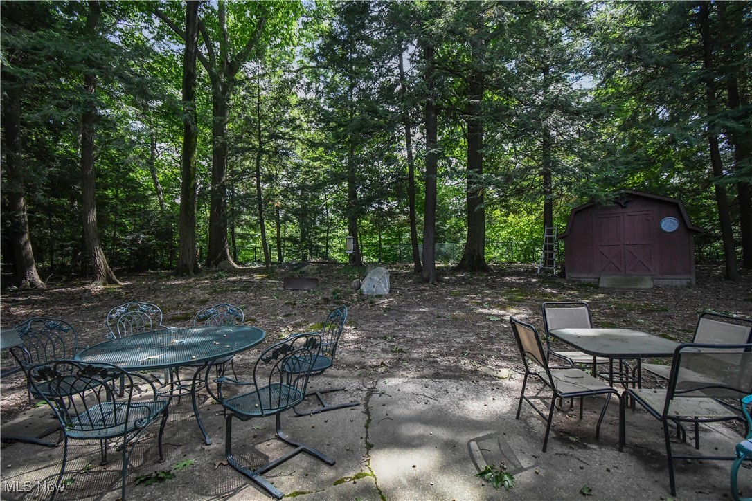 10654 Prouty Road Painesville, OH 44077 - Photo 12 of 12 Fenced back yard