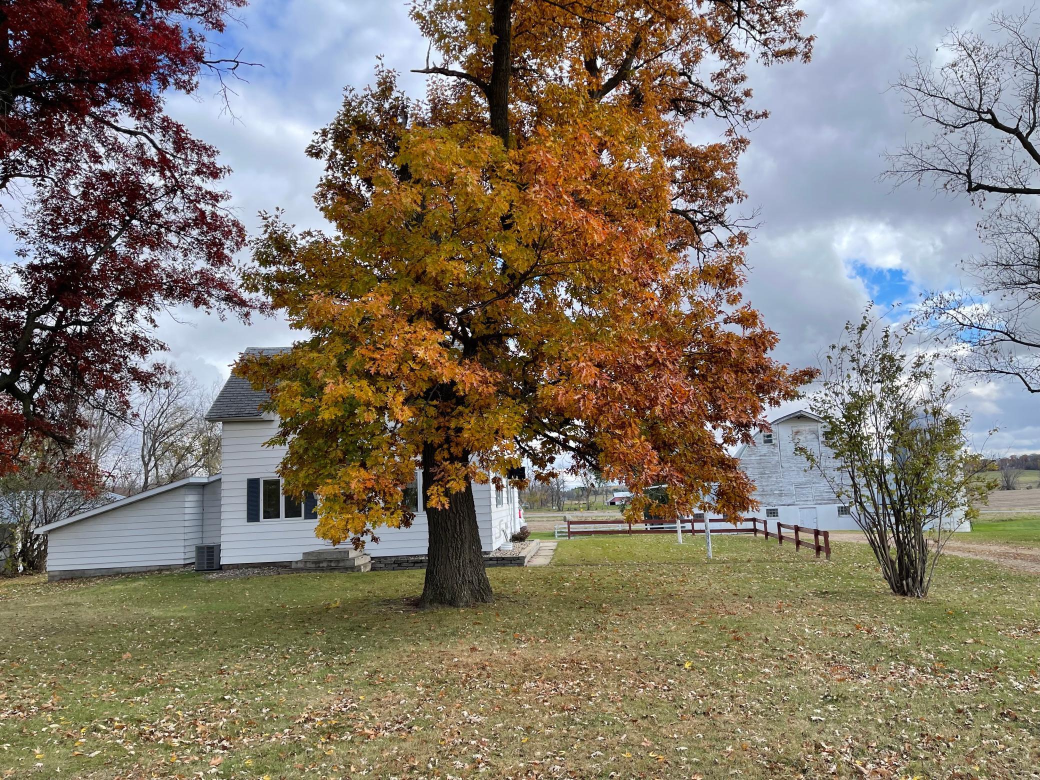 33898 655th Avenue Watkins, MN 55389 - Photo 6 of 16