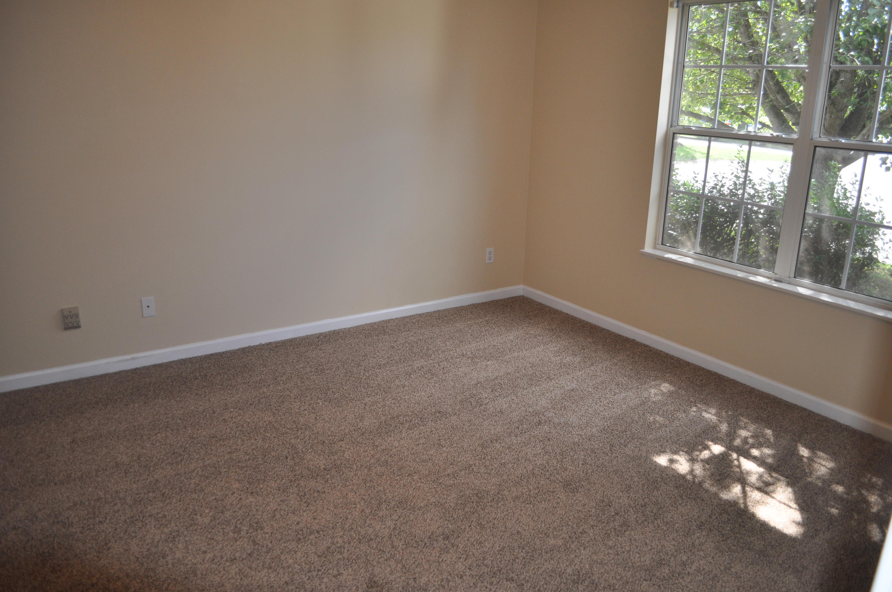 8318 Timber Ridge Lane Powell, TN 37849 - Photo 14 of 25 14 Master BR