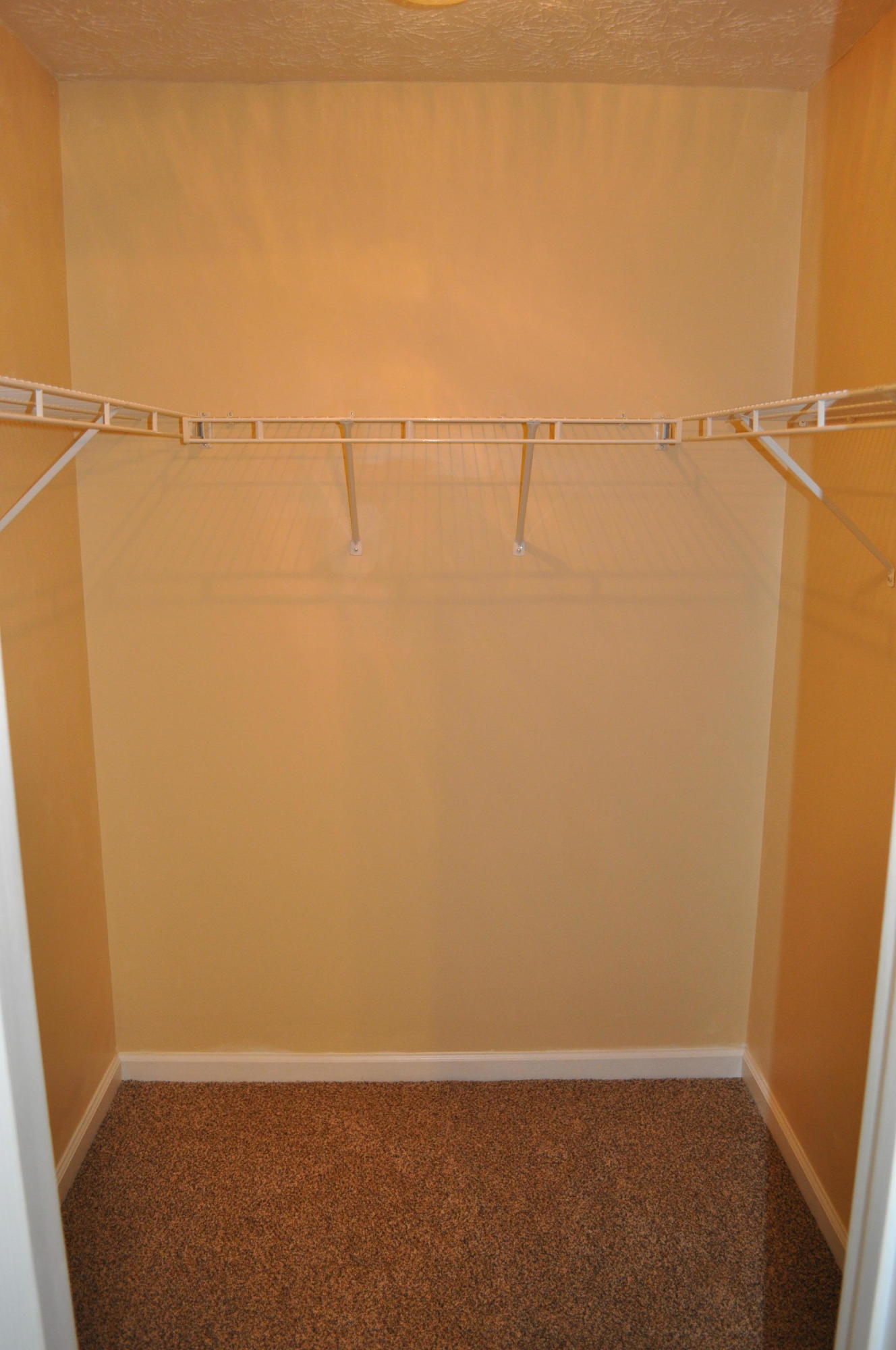 8318 Timber Ridge Lane Powell, TN 37849 - Photo 16 of 25 16 Master Closet