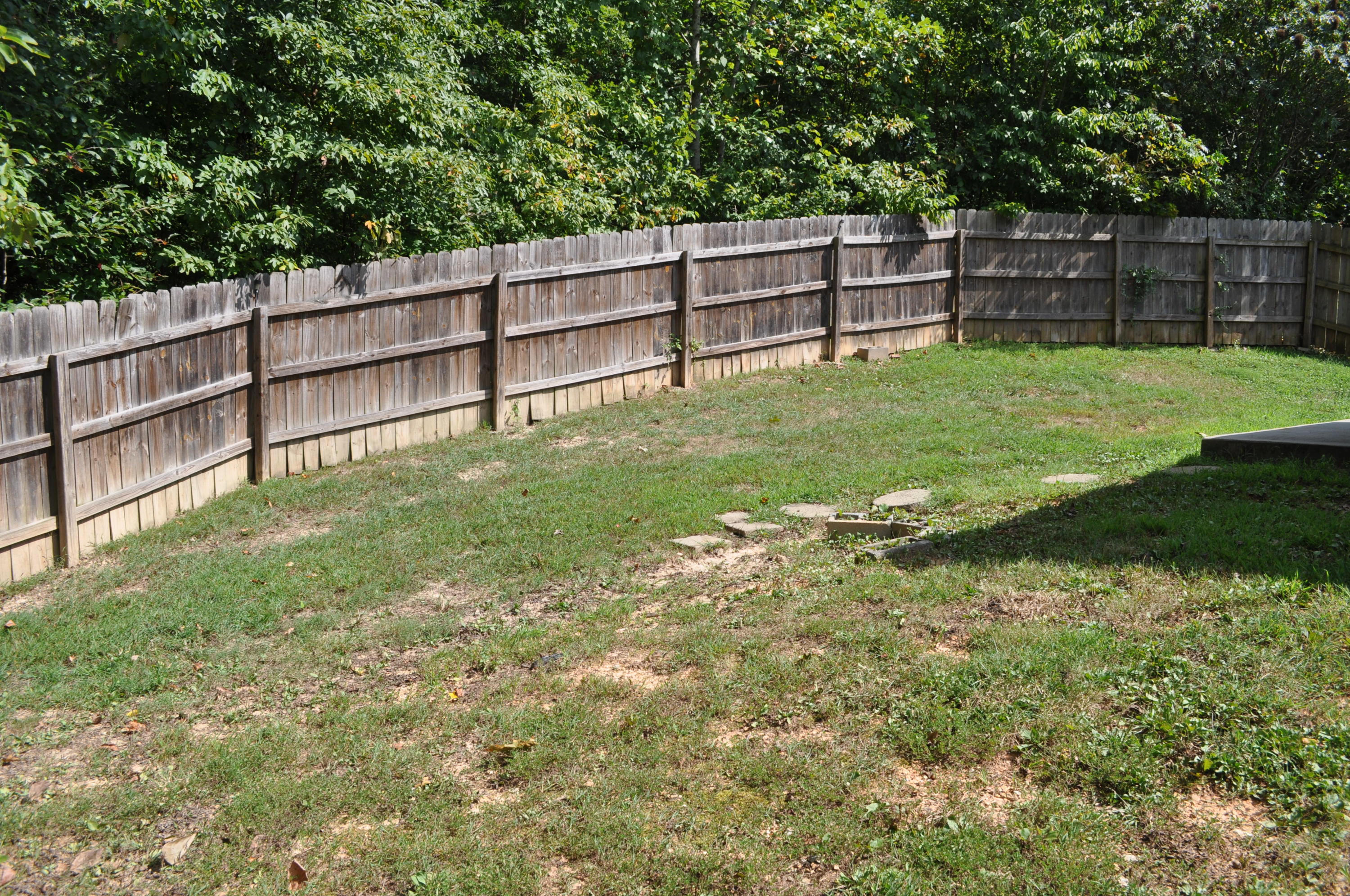 8318 Timber Ridge Lane Powell, TN 37849 - Photo 25 of 25 25 Back Yard