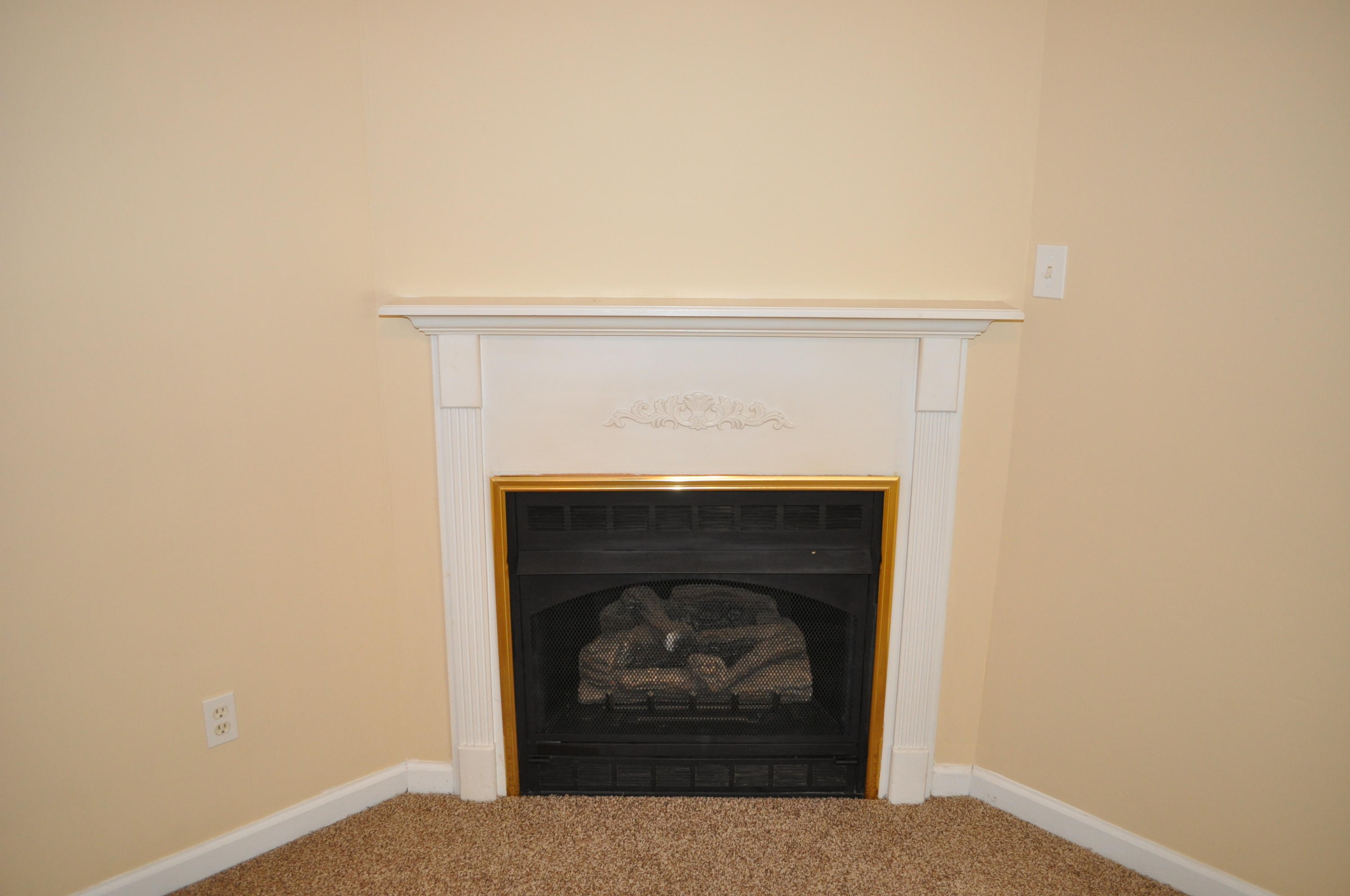 8318 Timber Ridge Lane Powell, TN 37849 - Photo 8 of 25 8 Gas Logs
