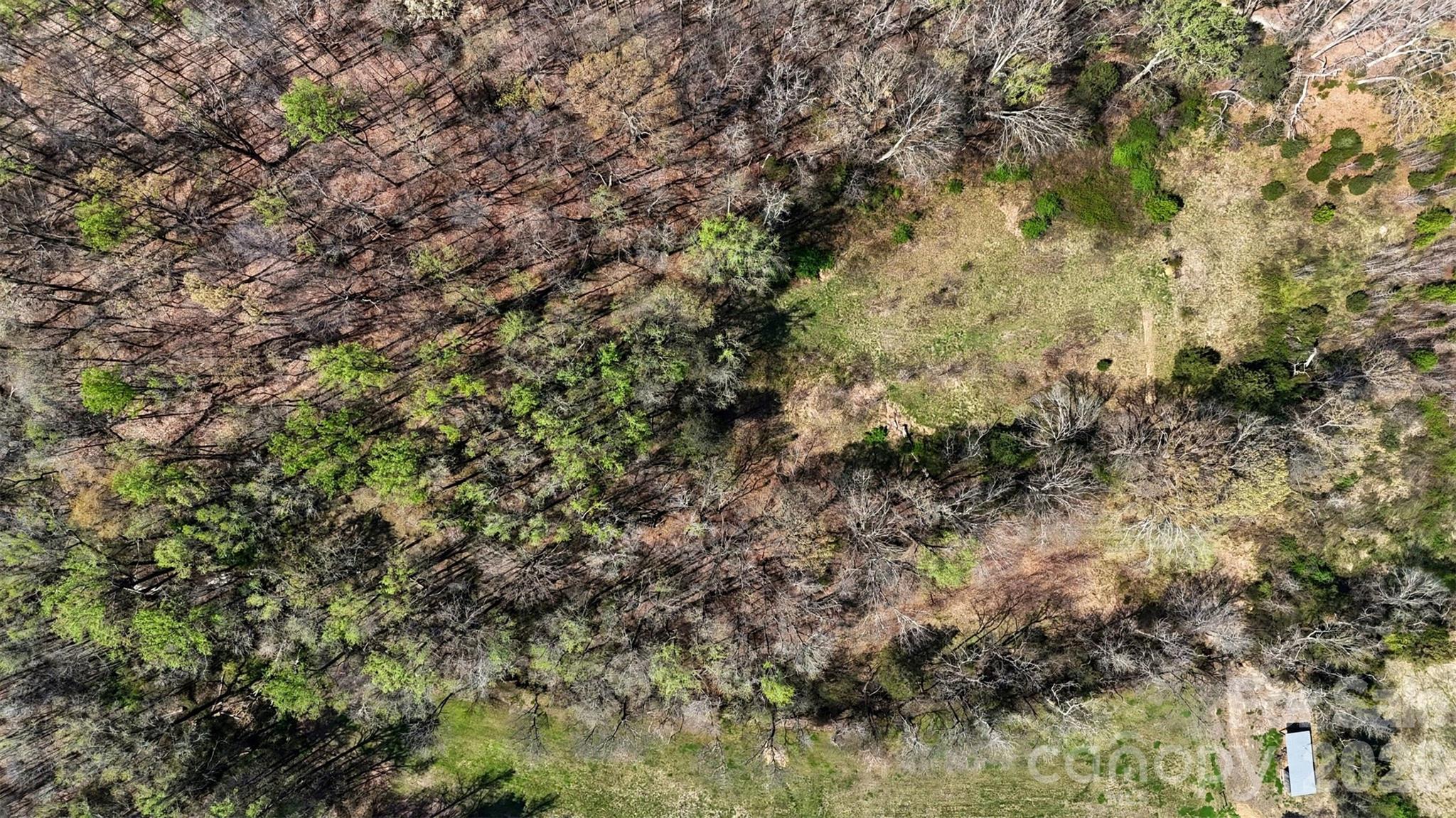 252 Teeter Road Mooresville, NC 28115 - Photo 11 of 22