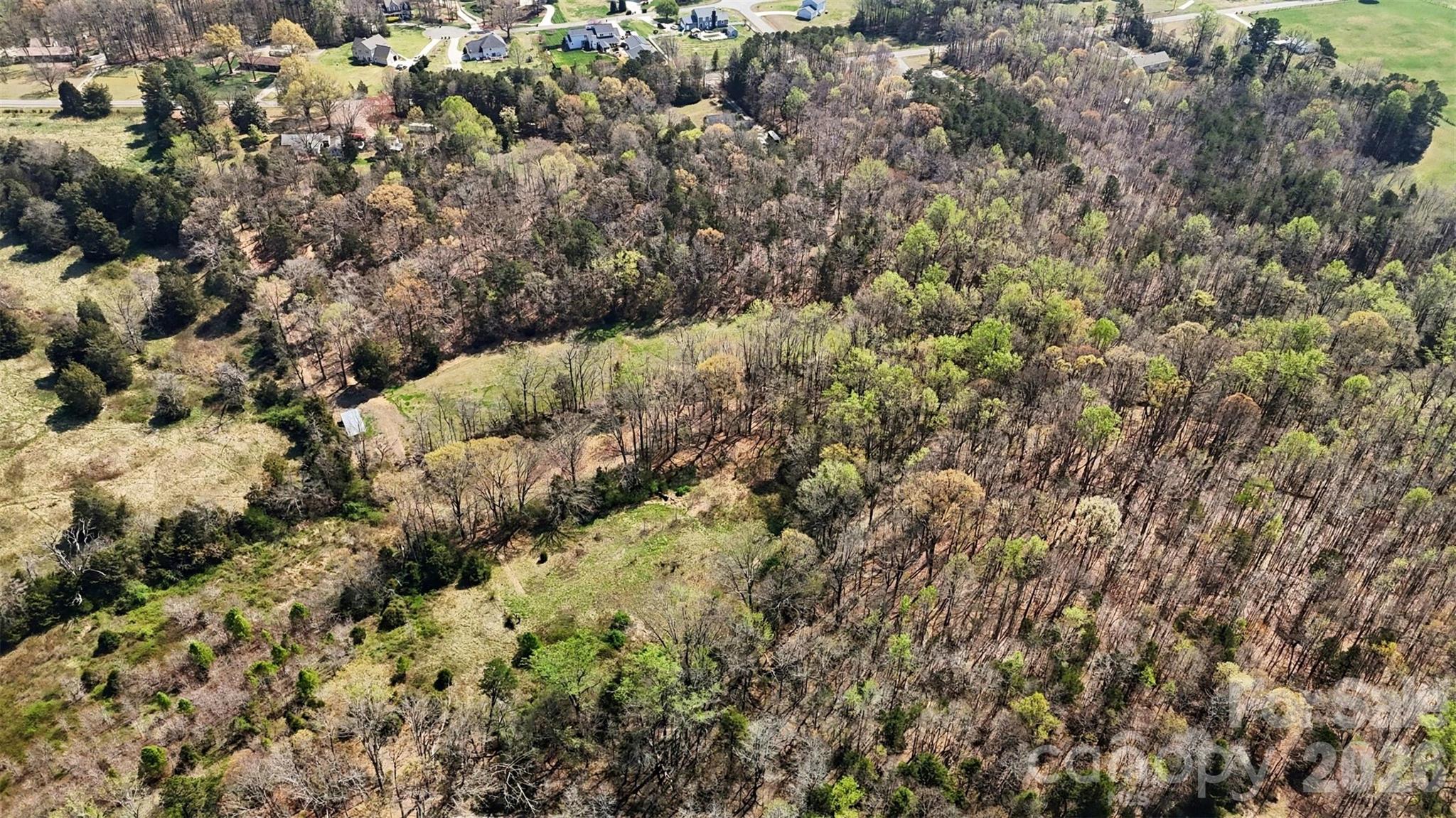 252 Teeter Road Mooresville, NC 28115 - Photo 16 of 22 a view of a forest