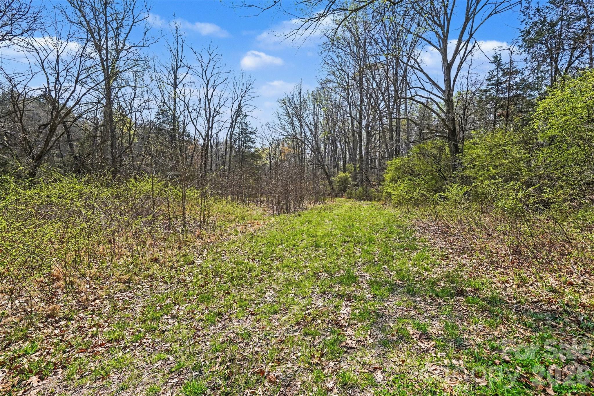 252 Teeter Road Mooresville, NC 28115 - Photo 17 of 22