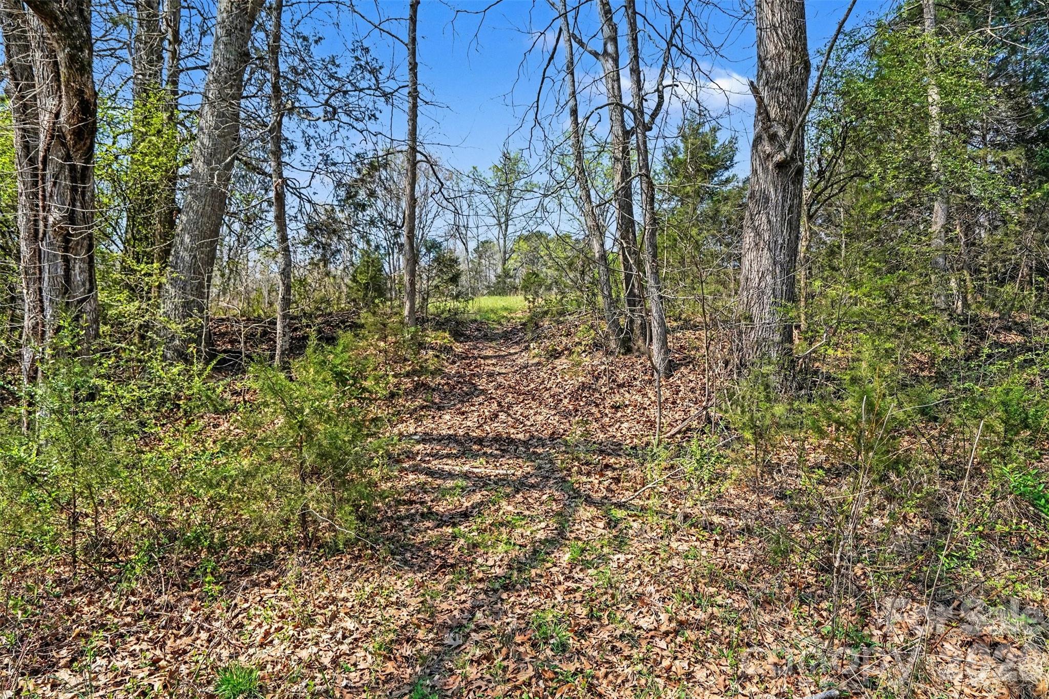 252 Teeter Road Mooresville, NC 28115 - Photo 18 of 22 a view of a yard with plants and trees