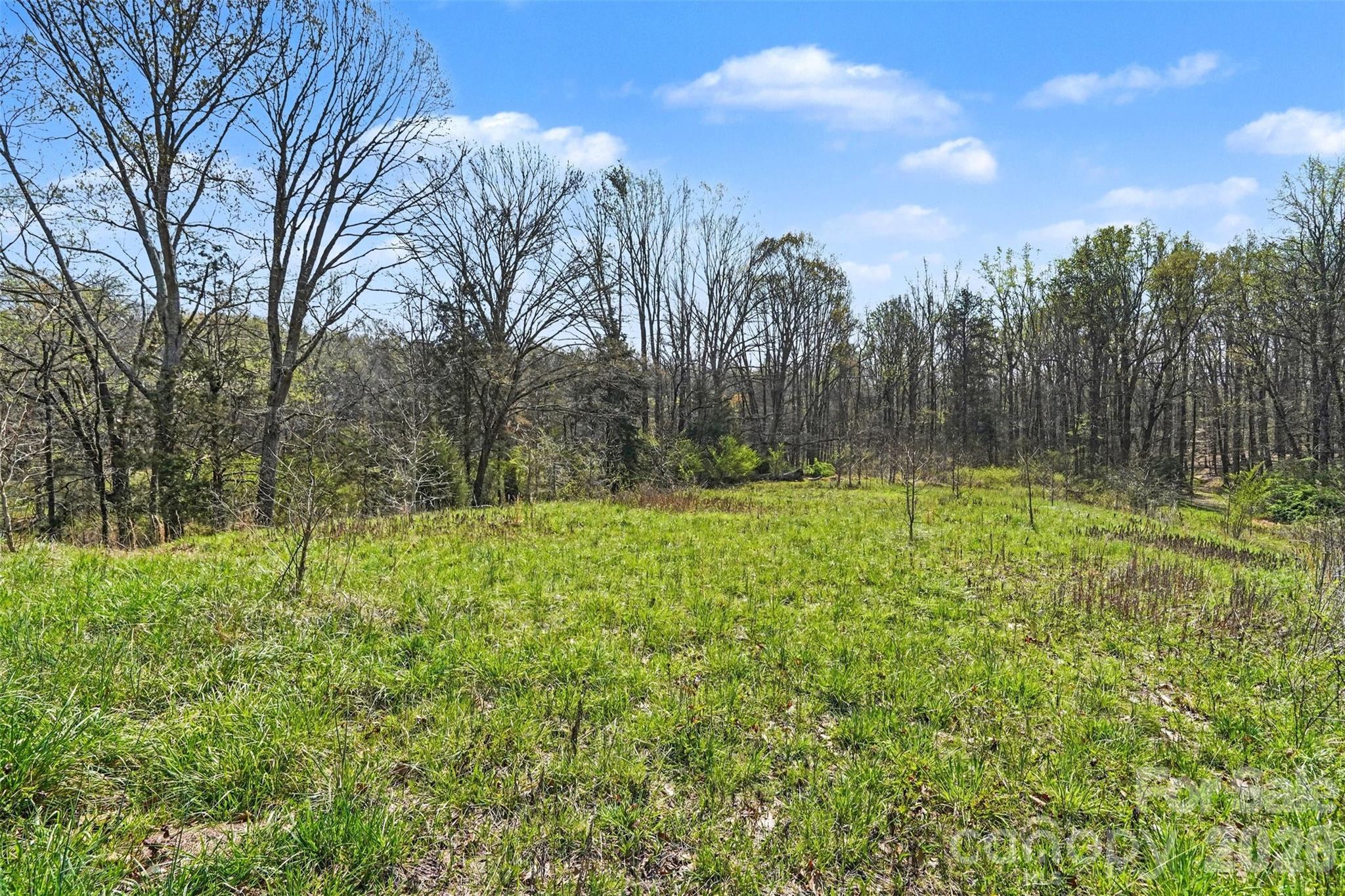 252 Teeter Road Mooresville, NC 28115 - Photo 19 of 22 a view of outdoor space with a garden