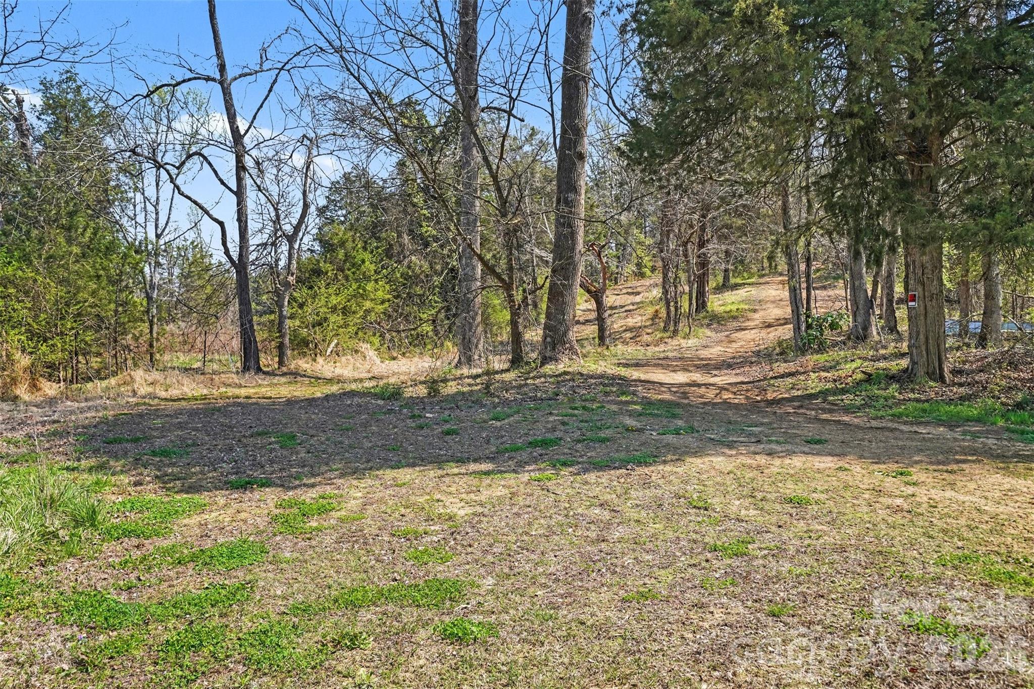 252 Teeter Road Mooresville, NC 28115 - Photo 22 of 22 a view of yard with tree