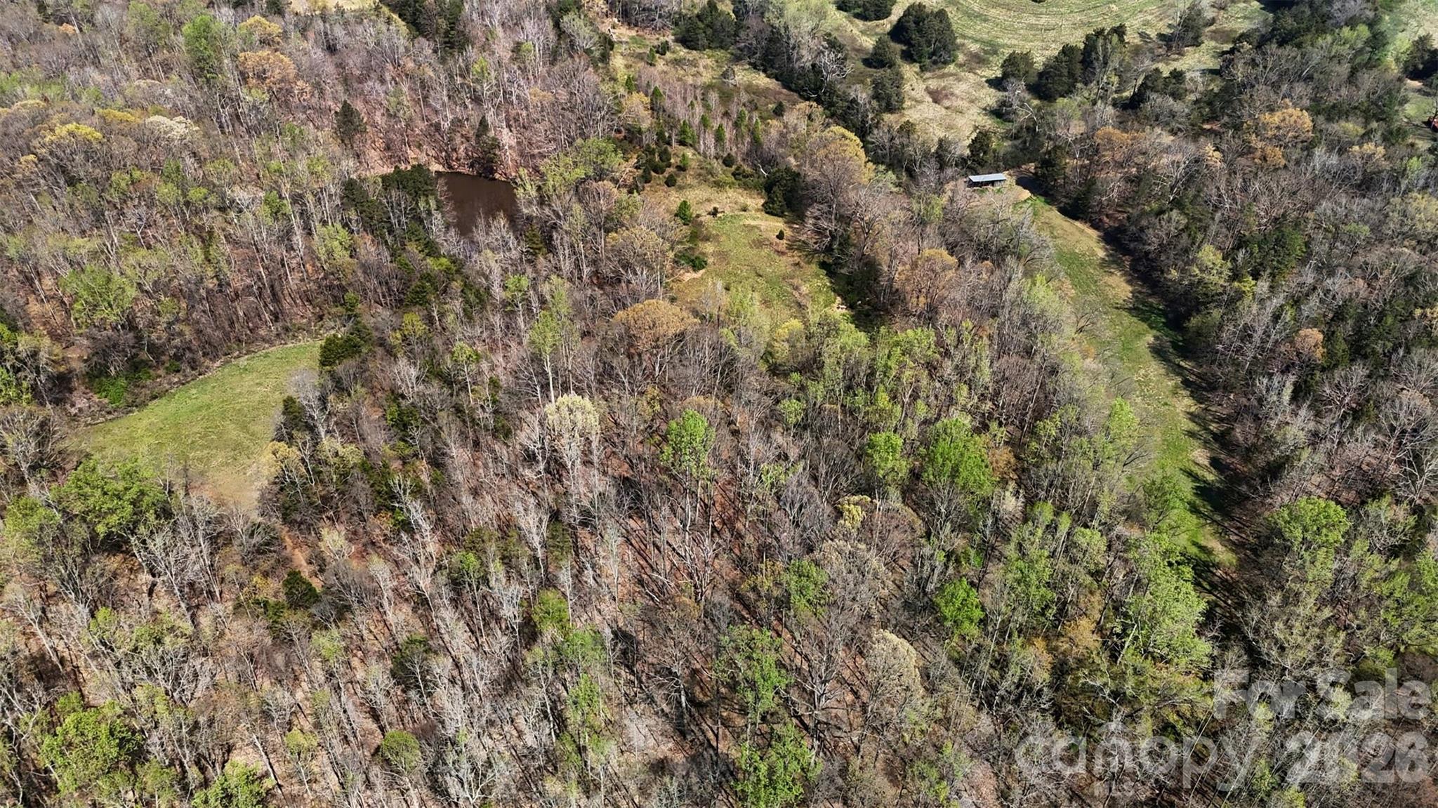 252 Teeter Road Mooresville, NC 28115 - Photo 10 of 22 a view of a forest with a tree