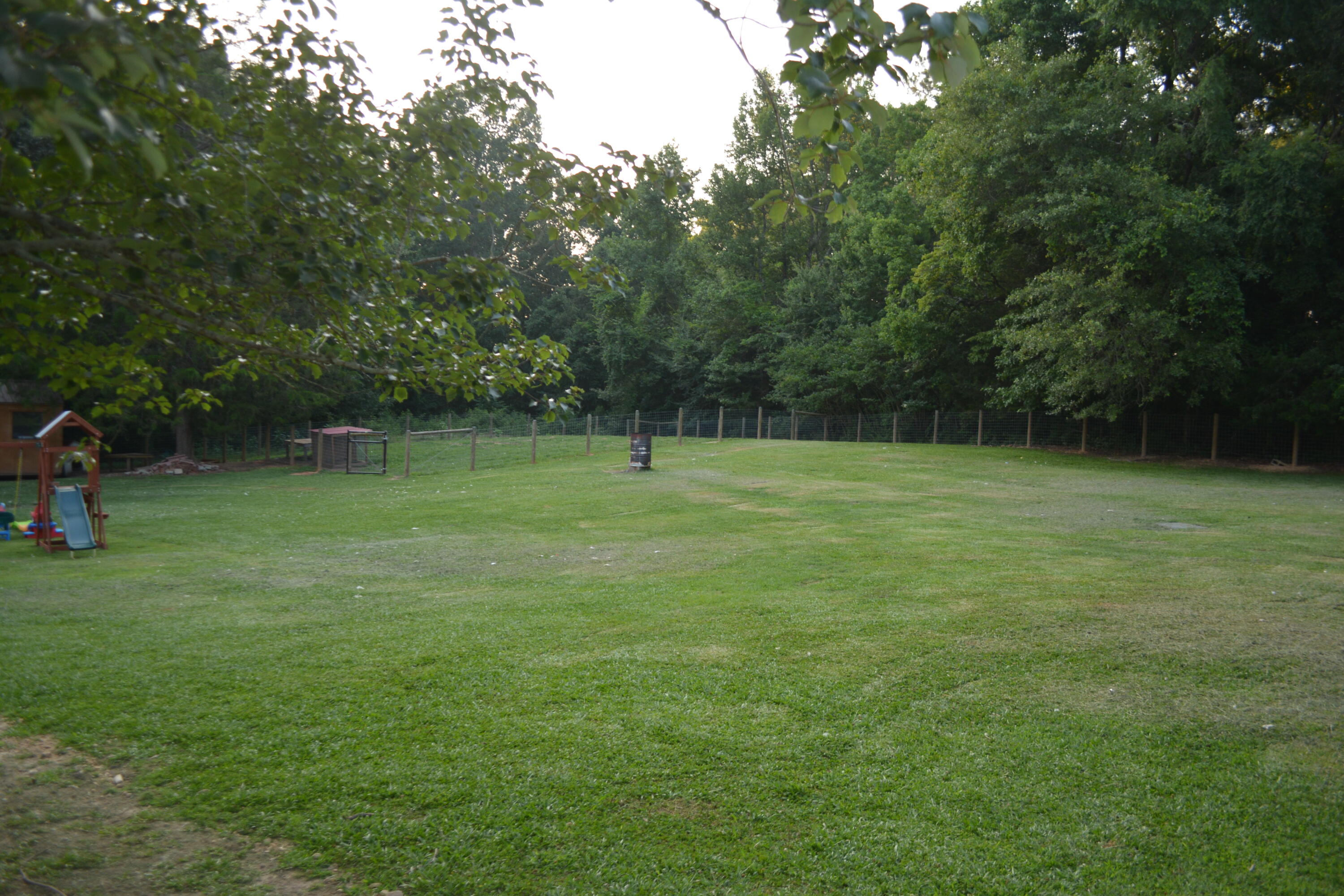 2126 Cedar Grove Road Leesville, SC 29070 - Photo 9 of 74