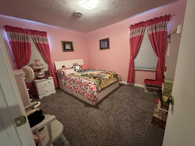101 Ball Street Springfield, KY 40069 - Photo 13 of 14 bed 3