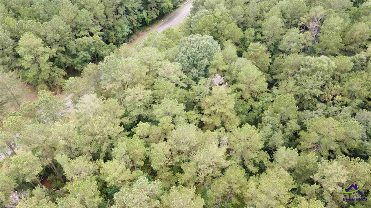 Noble Road Pineview, GA 31071 - Photo 1 of 1