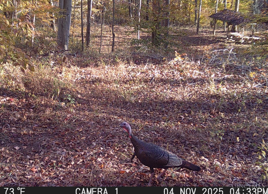 Ac Beech Fork Road Peebles, OH 45660 - Photo 38 of 49