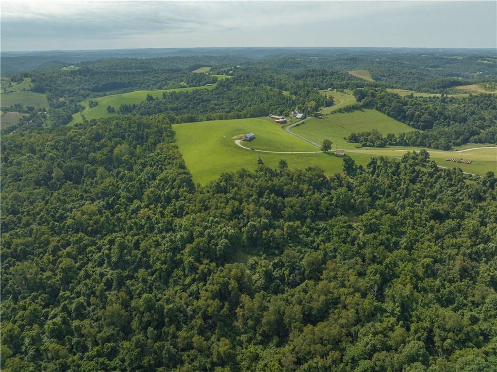 321 Chambers Ridge Road West Alexander, PA 15376 - Photo 30 of 42 an aerial view of residential houses with outdoor space and trees