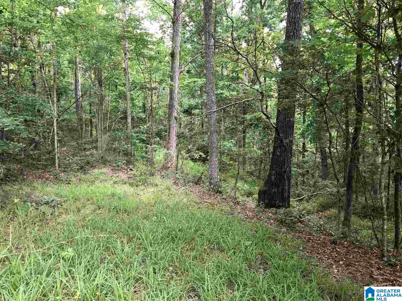 0 Maple Crest Lane Hayden, AL 35079 - Photo 4 of 30