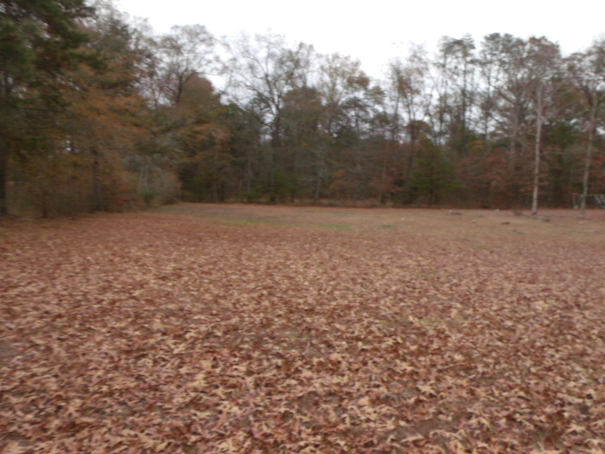 1646 Hopeless Road Dandridge, TN 37725 - Photo 18 of 19 yard 2