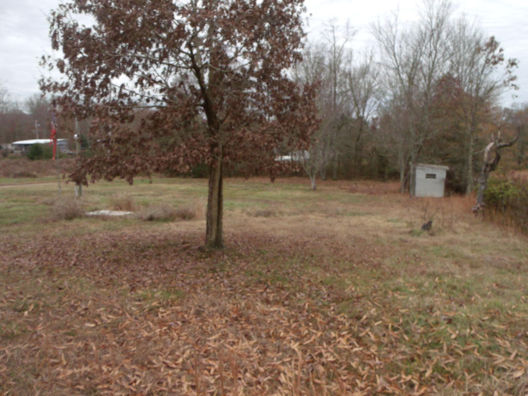 1646 Hopeless Road Dandridge, TN 37725 - Photo 19 of 19 yard