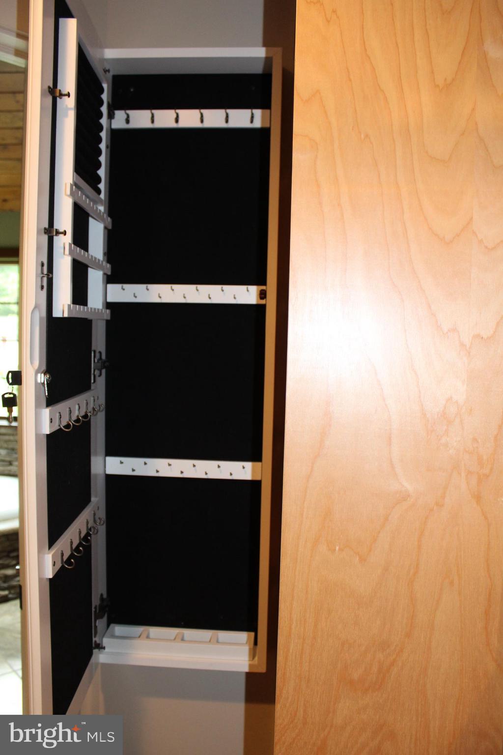 246 Acorn Lane Lititz, PA 17543 - Photo 36 of 120 Walk-In Closet, Master (Jewelry Box)