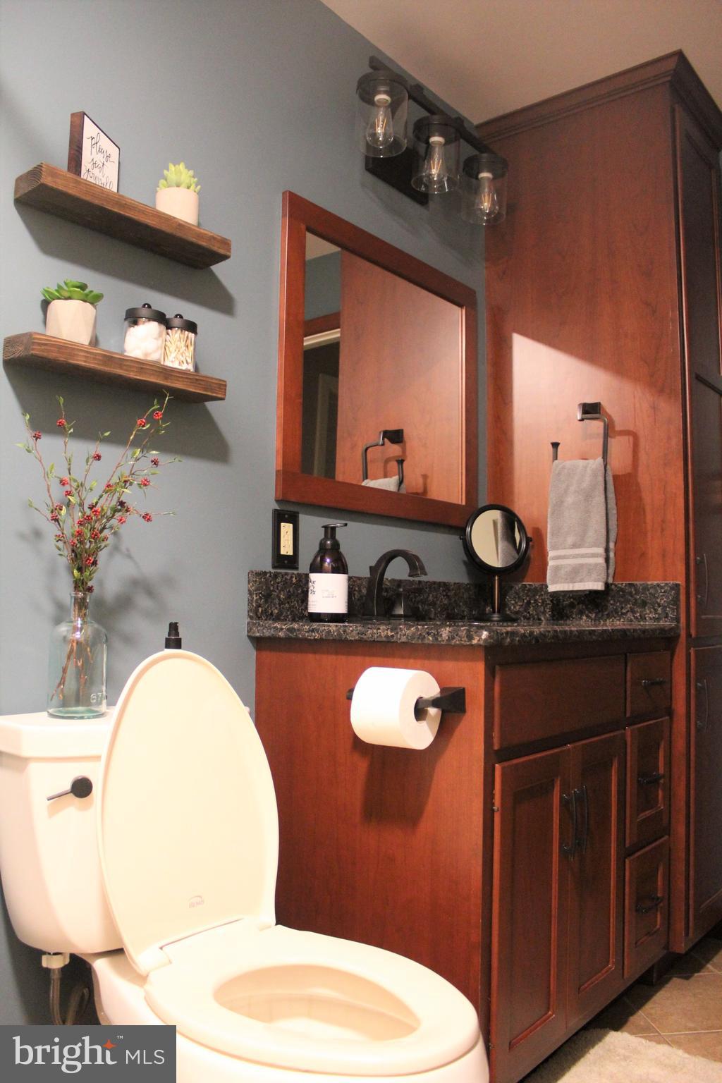 246 Acorn Lane Lititz, PA 17543 - Photo 51 of 120 Full Bathroom #2