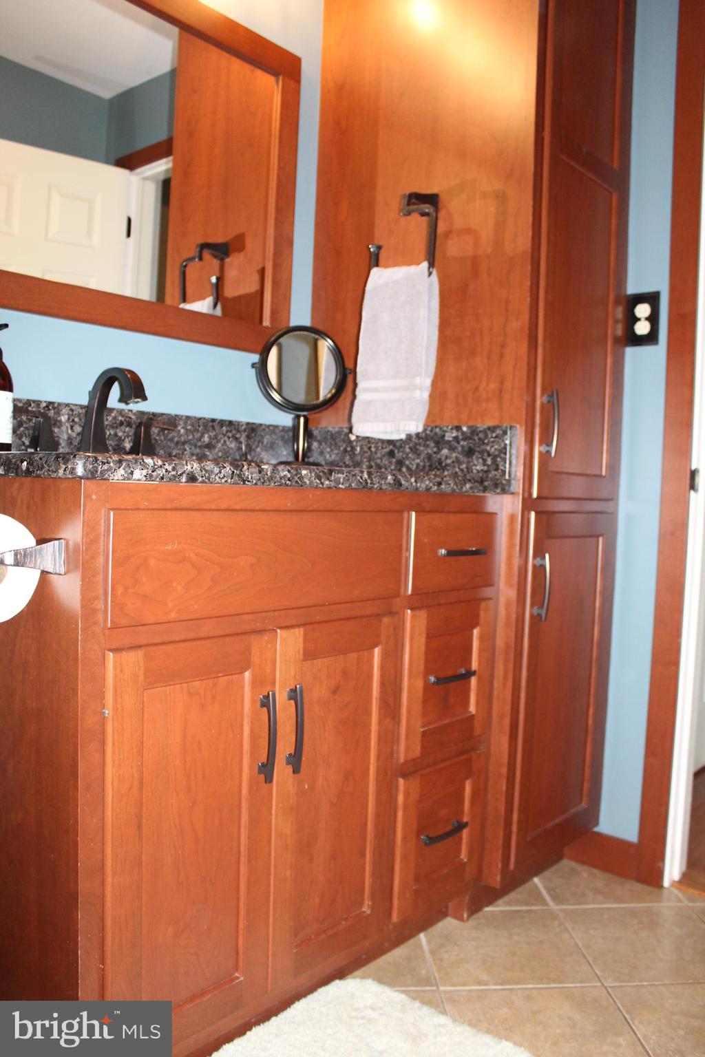 246 Acorn Lane Lititz, PA 17543 - Photo 55 of 120 a bathroom with a granite countertop sink and a mirror