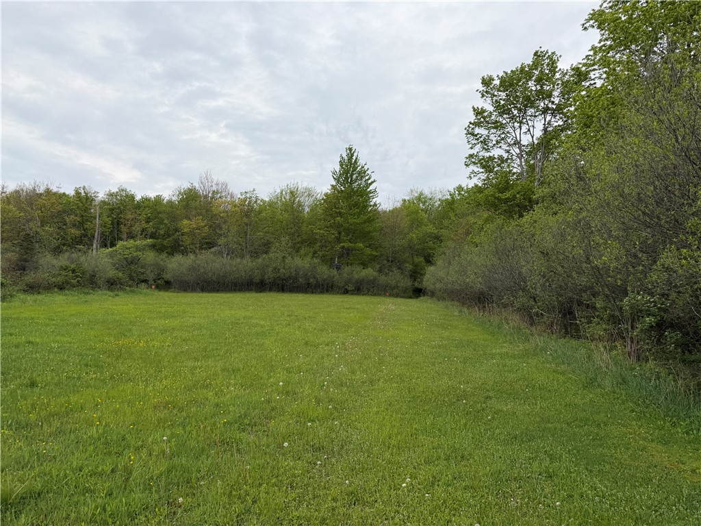 Vl Vl Lyndon Abbott Road Franklinville, NY 14737 - Photo 21 of 50