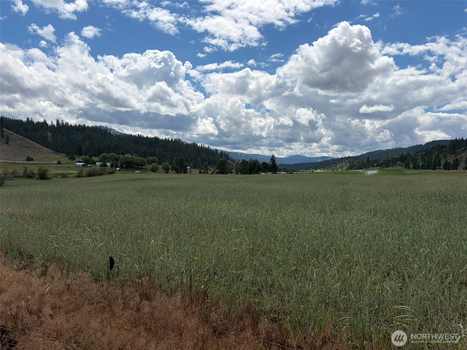 1 Lundimow Meadows Road Malo, WA 99150 - Photo 12 of 17 Gallery Image 12
