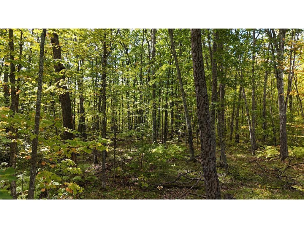 57919 Hay Creek Road Sandstone, MN 55072 - Photo 46 of 48