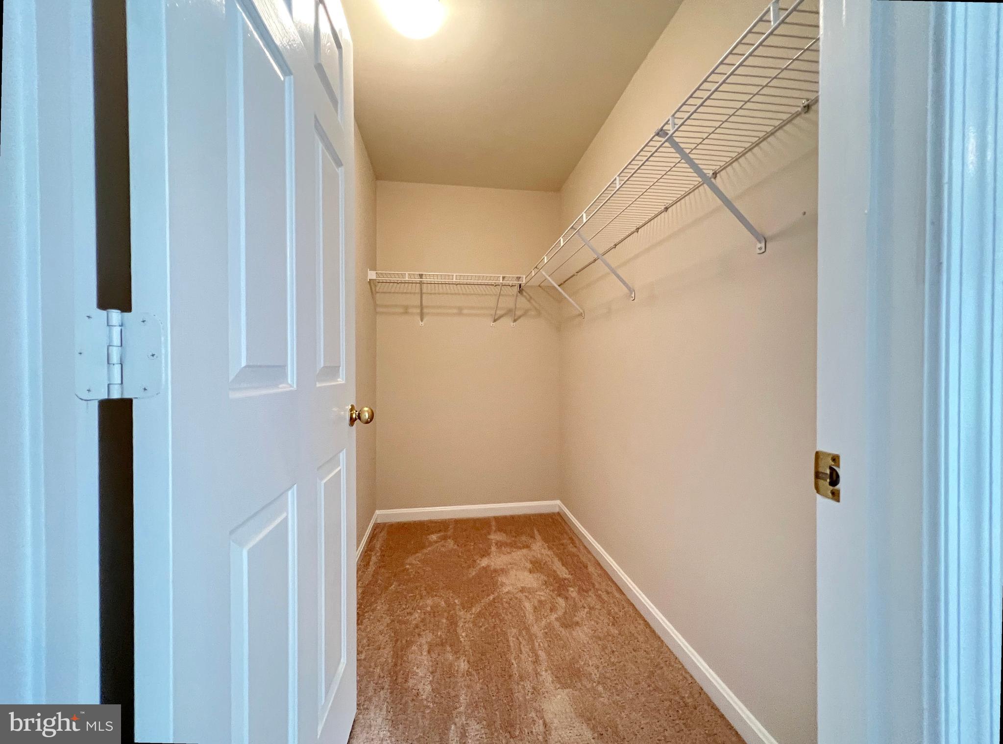 511 Constellation Square Southeast, Unit E Leesburg, VA 20175 - Photo 23 of 34 Primary Bedroom Walk-in Closet