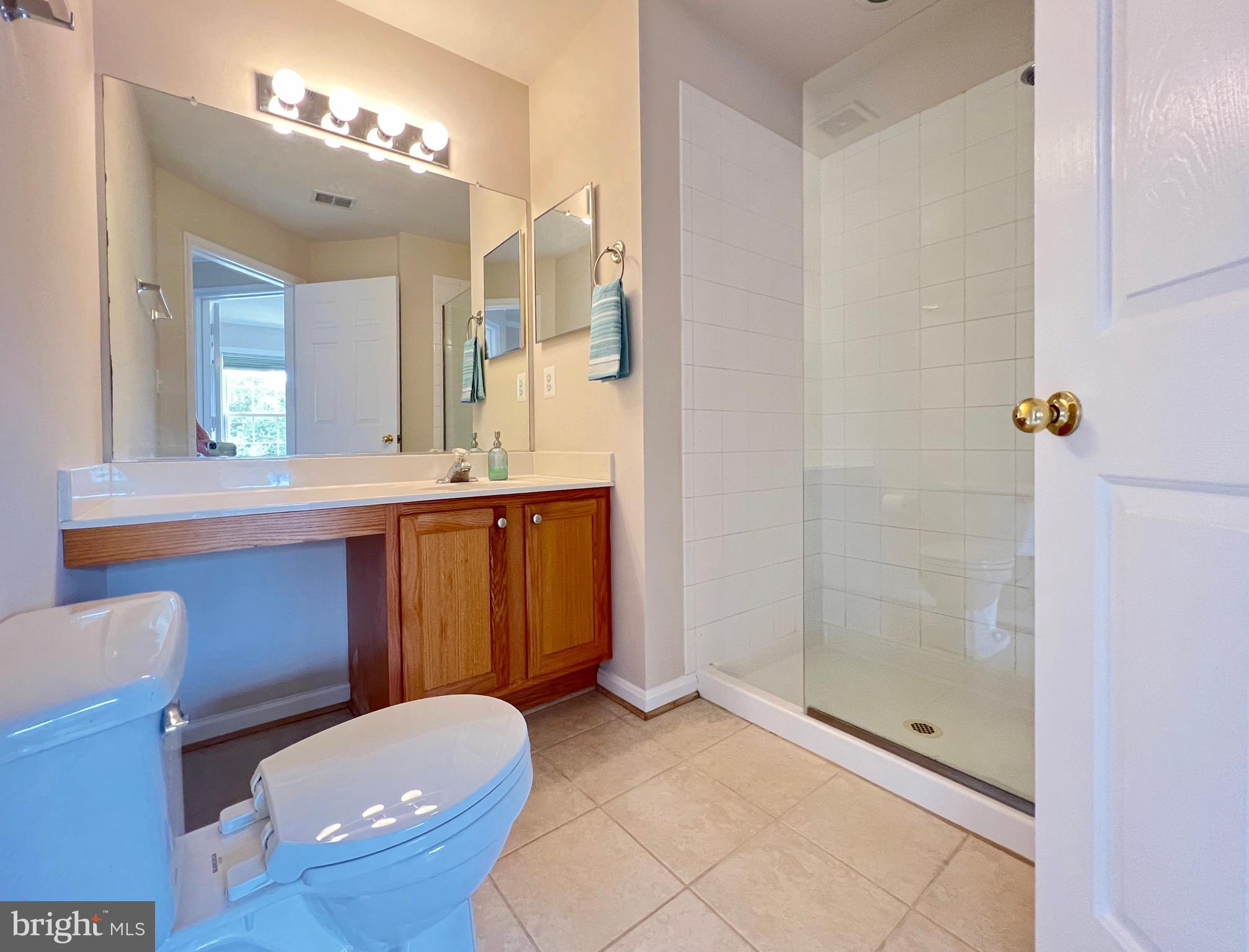 511 Constellation Square Southeast, Unit E Leesburg, VA 20175 - Photo 24 of 34 Hall Bathroom