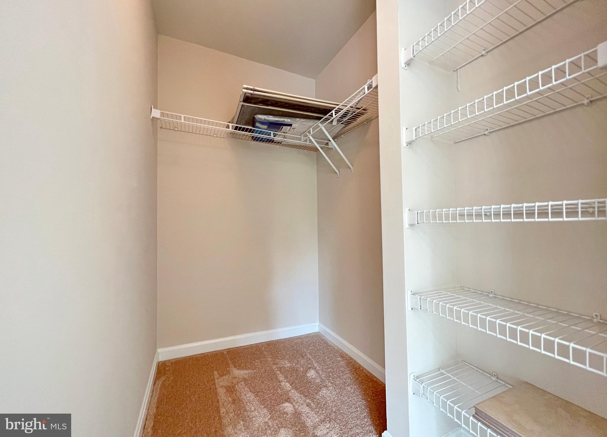 511 Constellation Square Southeast, Unit E Leesburg, VA 20175 - Photo 27 of 34 Second Bedroom Walk-in Closet
