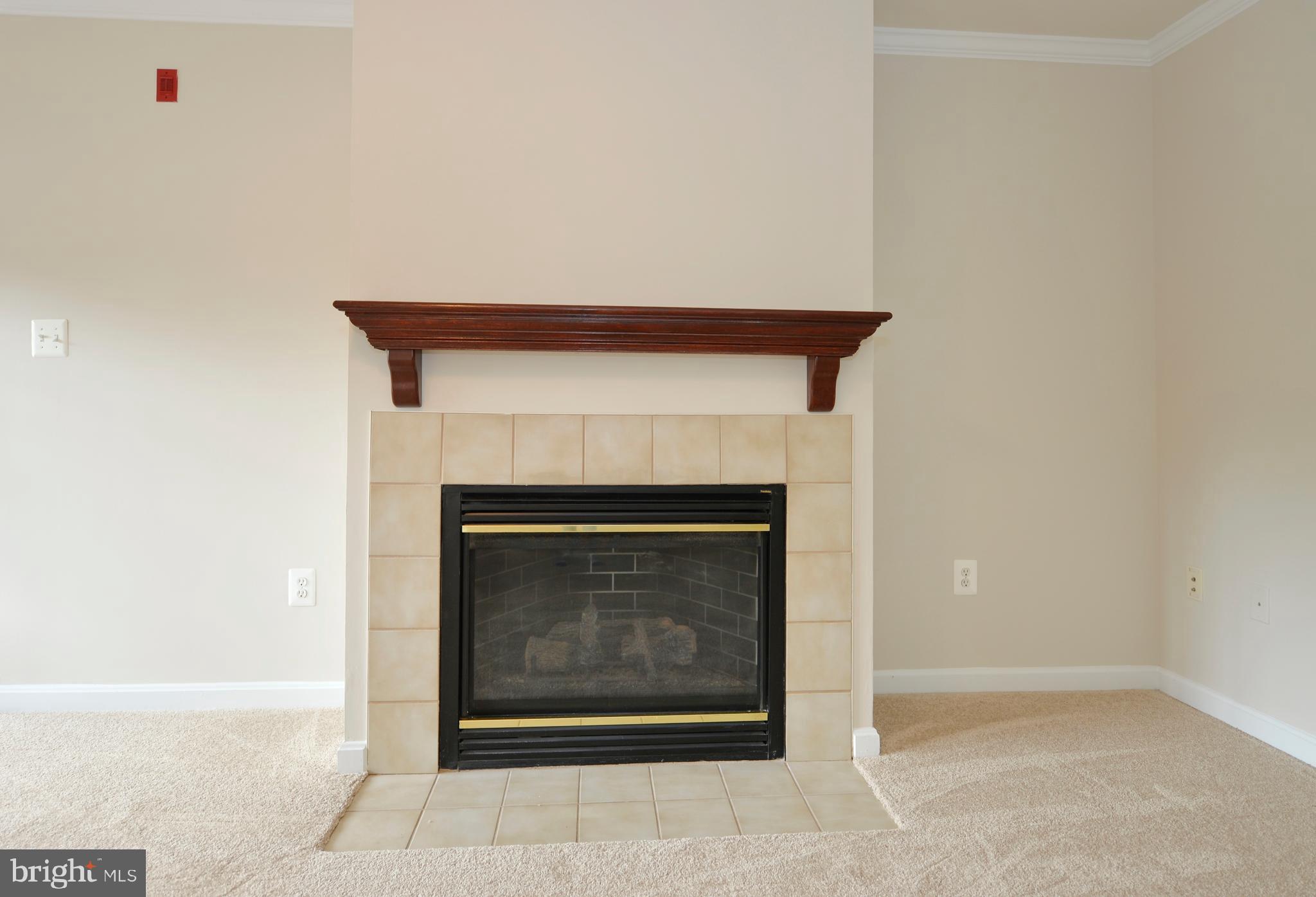 511 Constellation Square Southeast, Unit E Leesburg, VA 20175 - Photo 9 of 34 Living Room Fireplace