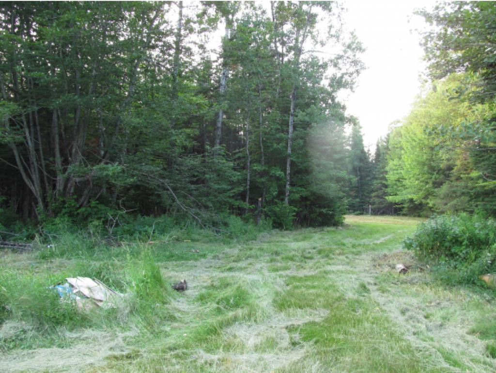 3433 Dam Road Errol, NH 03579 - Photo 13 of 13 Gallery Image 13