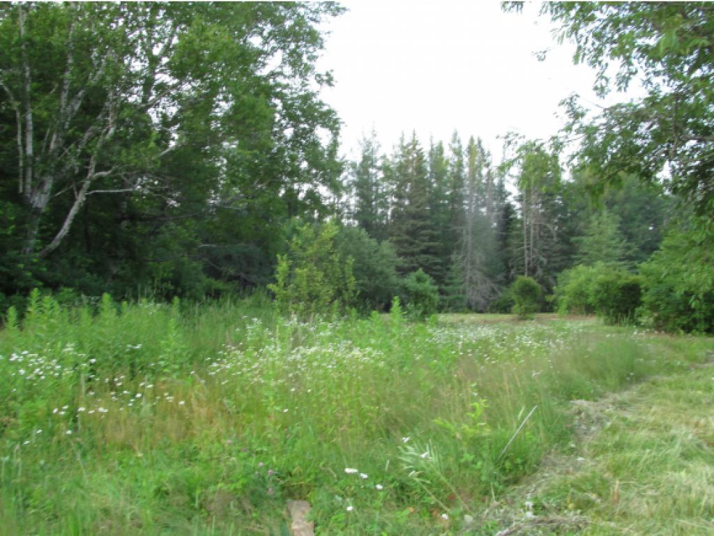 3433 Dam Road Errol, NH 03579 - Photo 10 of 13 Gallery Image 10