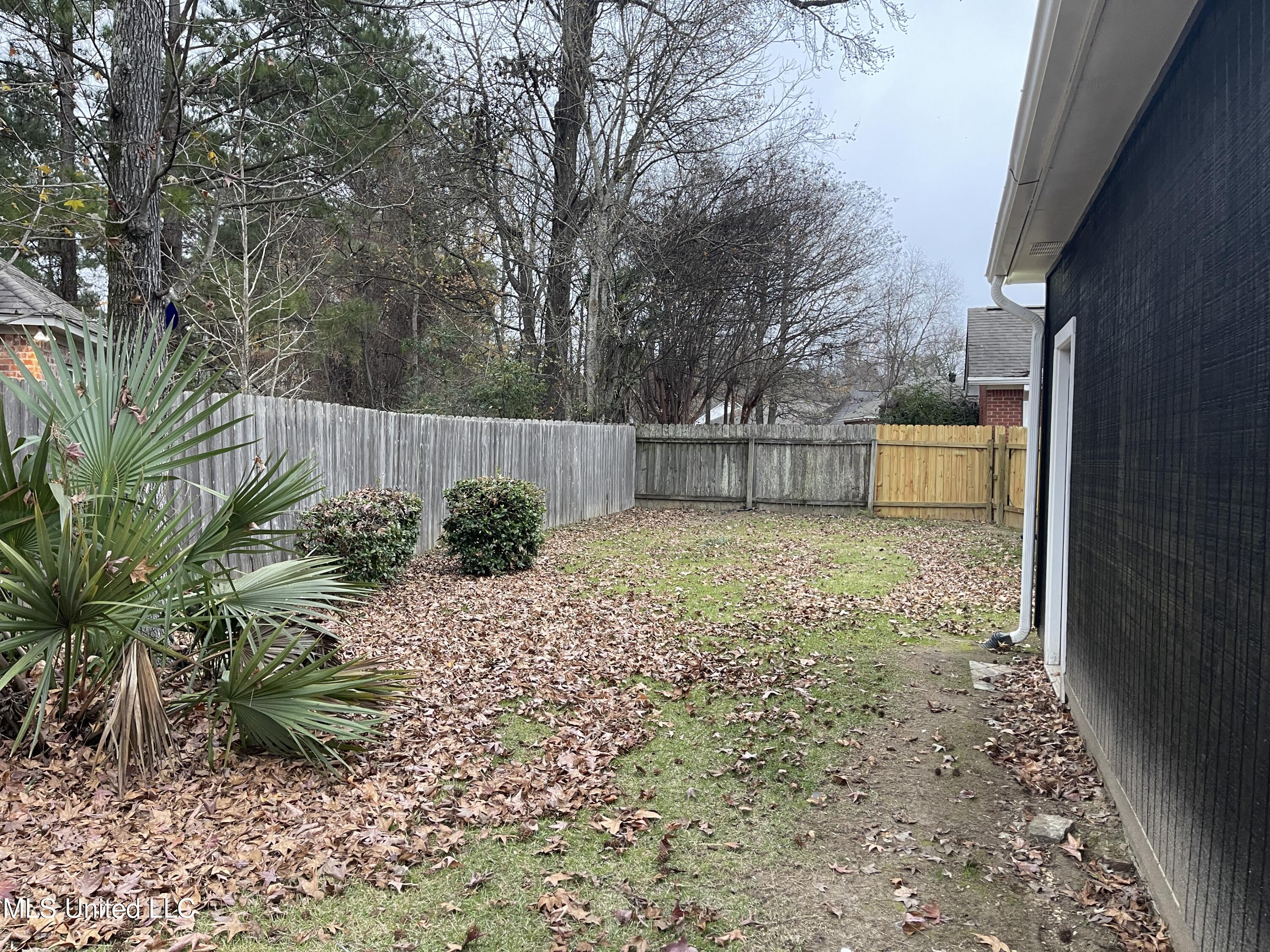 1804 Lake Trace Drive Jackson, MS 39211 - Photo 49 of 57 Backyard