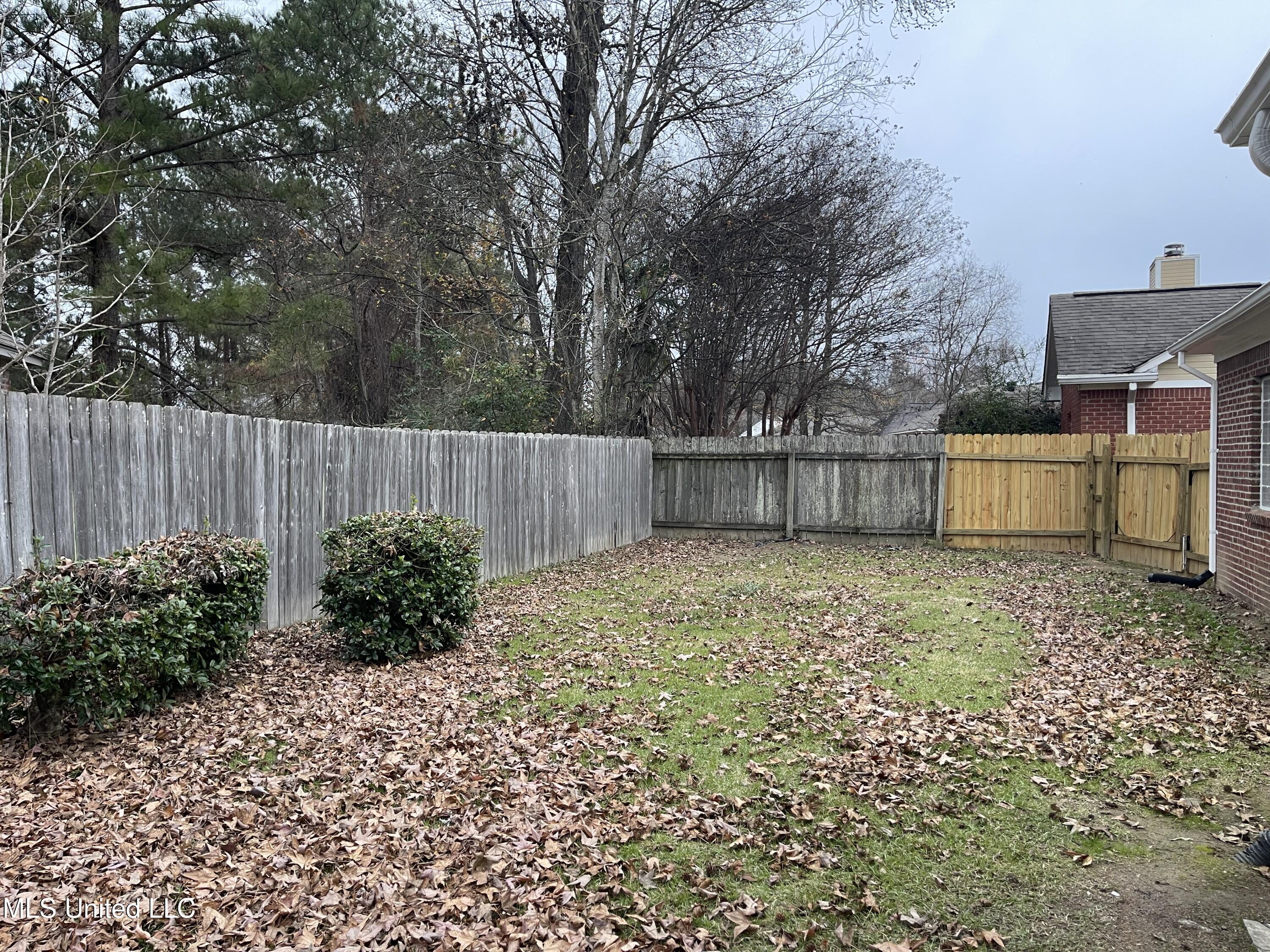 1804 Lake Trace Drive Jackson, MS 39211 - Photo 51 of 57 Backyard