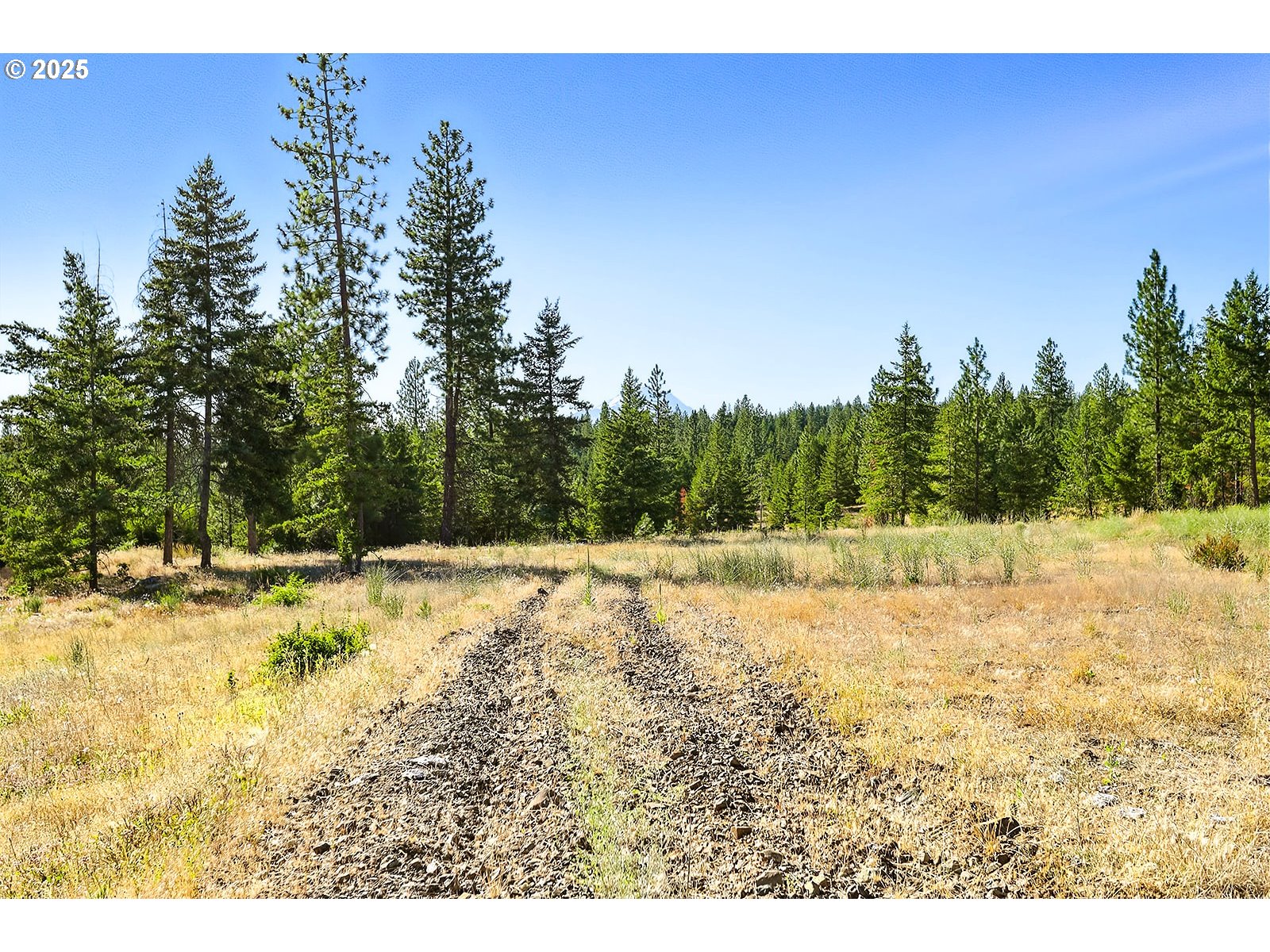 Ranger Road, Unit 4 Goldendale, WA 98620 - Photo 11 of 28 Gallery Image 11