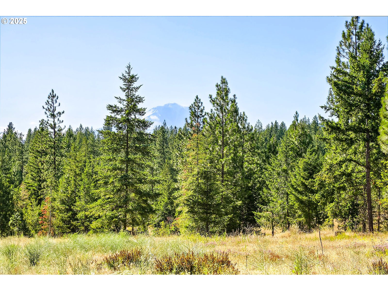 Ranger Road, Unit 4 Goldendale, WA 98620 - Photo 13 of 28 Gallery Image 13