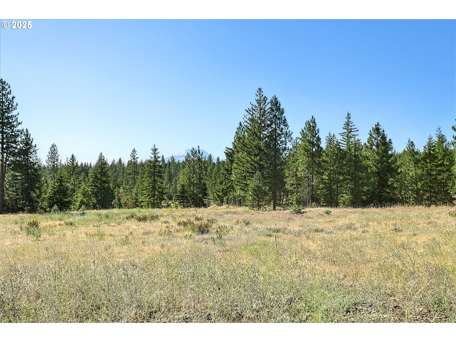 Ranger Road, Unit 4 Goldendale, WA 98620 - Photo 15 of 28 Gallery Image 15