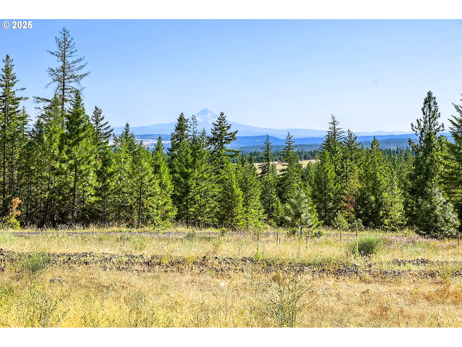 Ranger Road, Unit 4 Goldendale, WA 98620 - Photo 17 of 28 Gallery Image 17