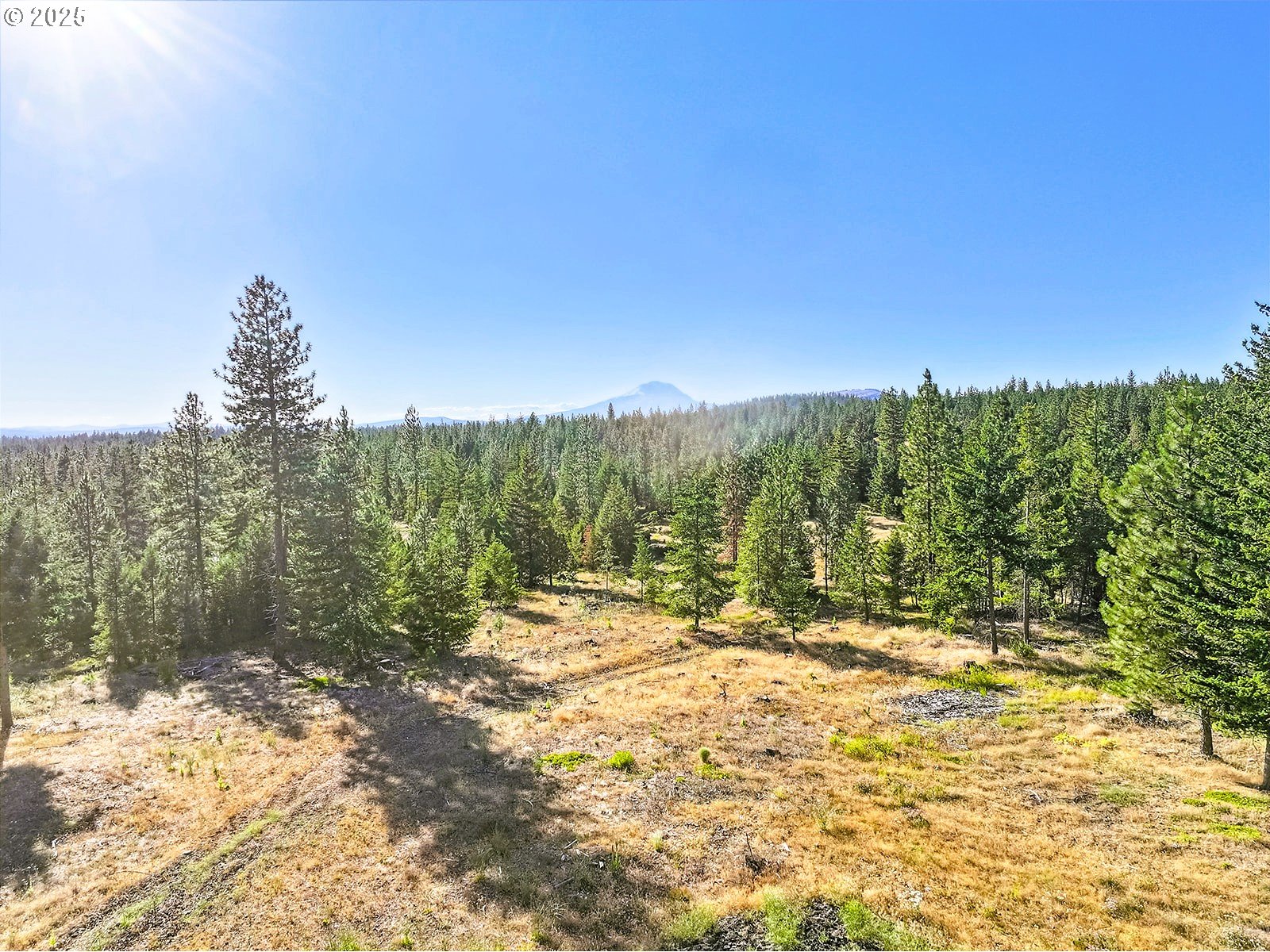 Ranger Road, Unit 4 Goldendale, WA 98620 - Photo 21 of 28 Gallery Image 21