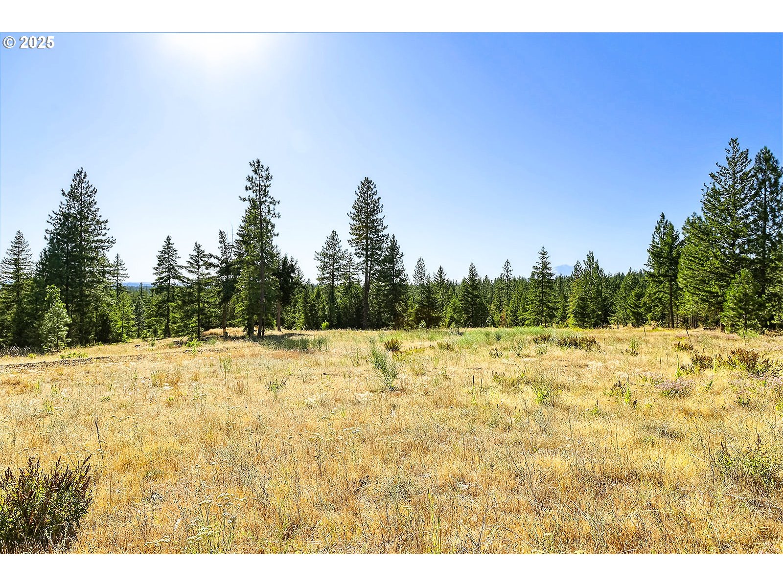 Ranger Road, Unit 4 Goldendale, WA 98620 - Photo 22 of 28 Gallery Image 22
