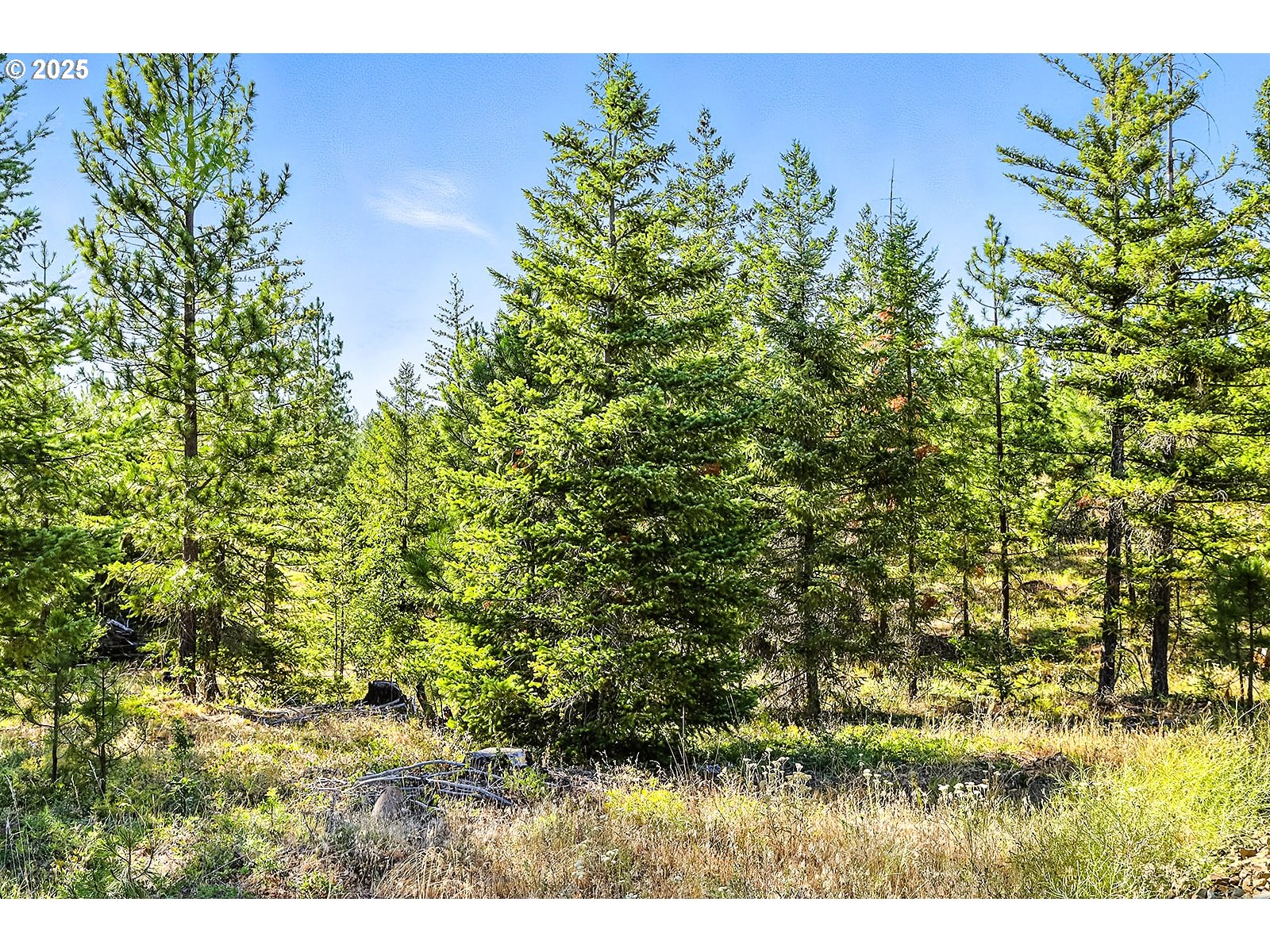 Ranger Road, Unit 4 Goldendale, WA 98620 - Photo 26 of 28 Gallery Image 26