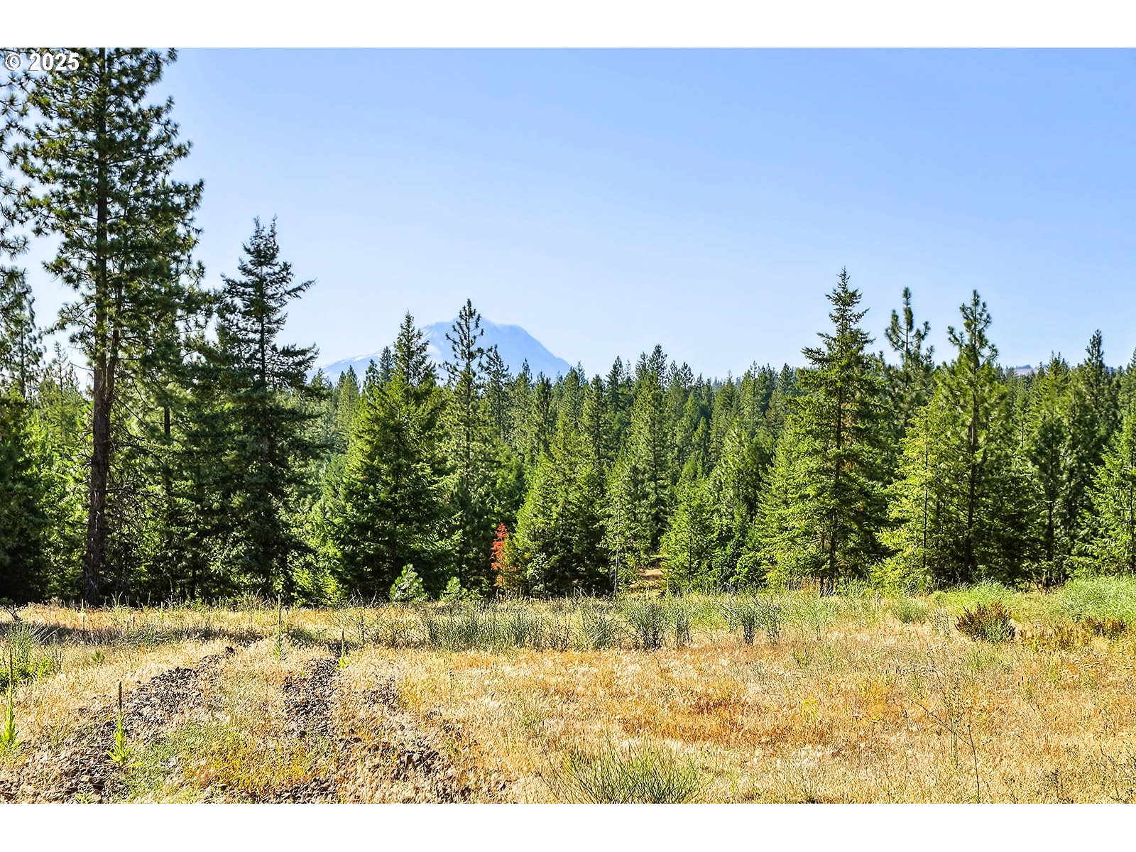 Ranger Road, Unit 4 Goldendale, WA 98620 - Photo 9 of 28 Gallery Image 9