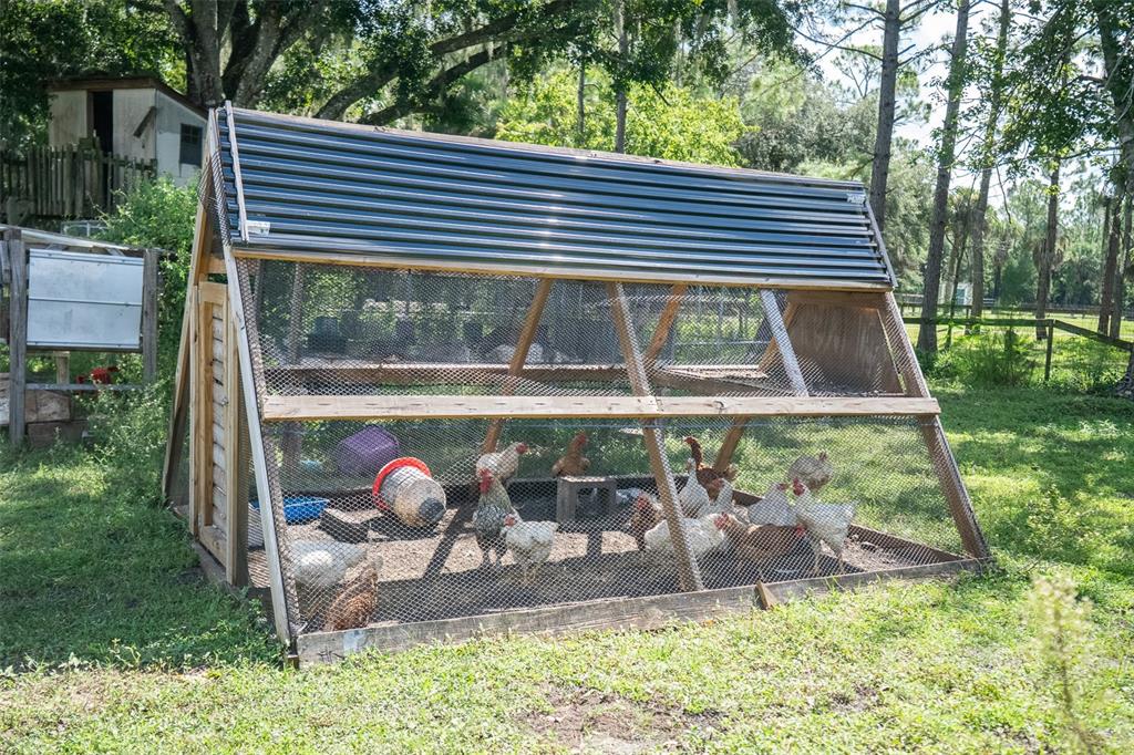 1275 East Osceola Road Geneva, FL 32732 - Photo 56 of 59 Gallery Image 56