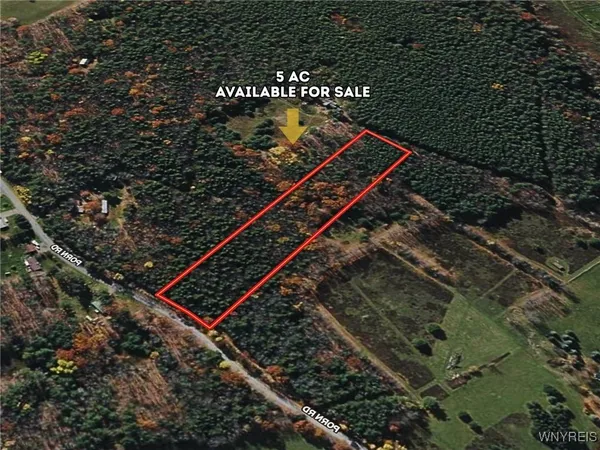 $21,995 | 0 Bruce Porn Road, Grand Gorge, NY 12434