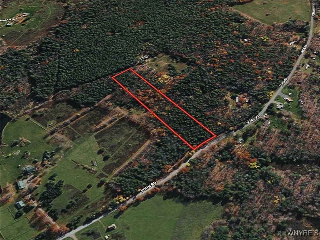 0 Bruce Porn Road Grand Gorge, NY 12434 - Photo 5 of 5