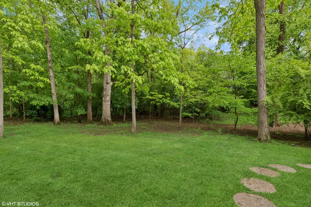 a view of a backyard with a trees