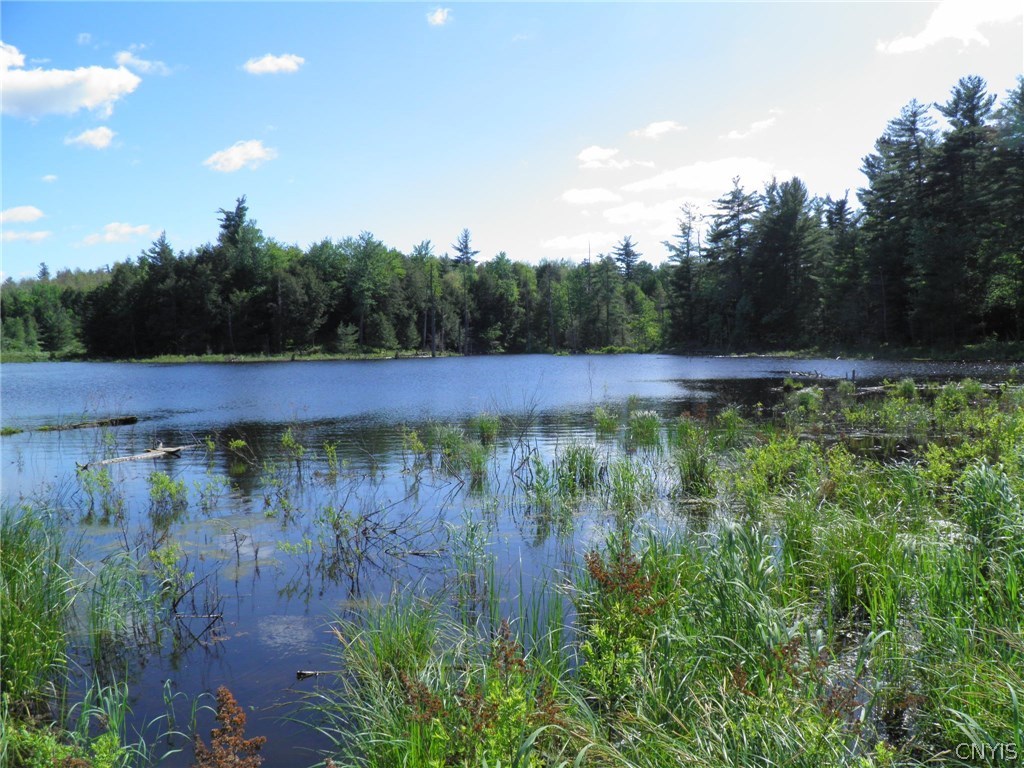 0 Rice Road Edwards, NY 13635 - Photo 1 of 1 Center pond view from N
