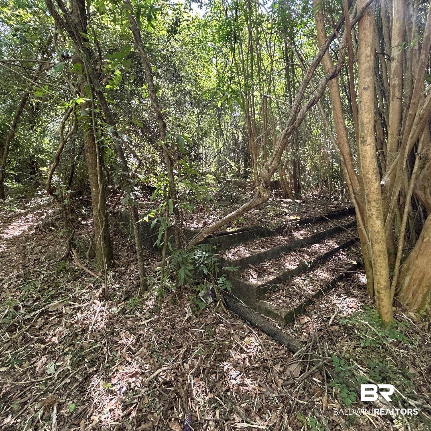 23587 Cowling Road Robertsdale, AL 36567 - Photo 1 of 40 old foundation of home